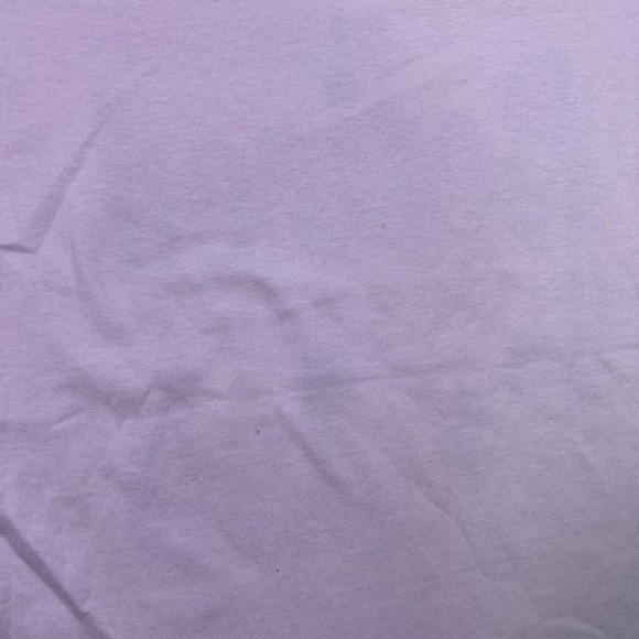 Hanes Heavyweight 50/50 Mens Large Retired Having Fun Is My Job Graphic‎ T Shirt - Picture 11 of 12